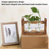 Plant Terrarium with Wooden Stand,Heart Shaped Transparent Glass Vase Flower Pot Hydroponics Plant Propagation Station for Hydroponics Plants Home...