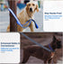 LED Light Up Dog Leash - 4 Ft USB Rechargeable Reflective Nylon Leash with Padded Handle - Flashing Luminous Glow Leashes for Large Medium Pets Ni...
