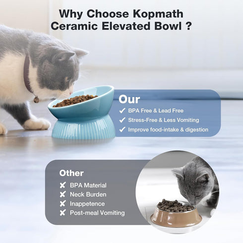 Elevated Cat Bowl, Ceramic Tilted Cat Food Bowl, Anti Vomiting, Stress Free on Neck and Spine, Spill-Proof, Anti-Tipping, Dishwasher Safe, Raised ...