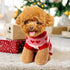 Dog Heart Knitted Sweater Warm Pet Dog Clothes Winter Dog Outfits for Small Puppy Cat Pets (Red, M)...