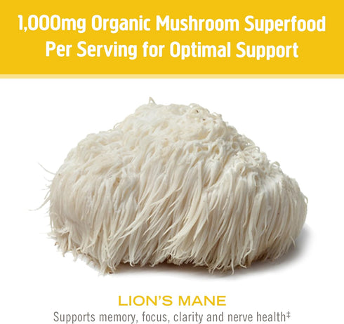Om Mushroom Superfood | Lion's Mane Gummies | USA Grown Organic Mushrooms |Memory, Focus, Clarity, Nerve Health & Mood Support | 60 Count, 30 Serv...