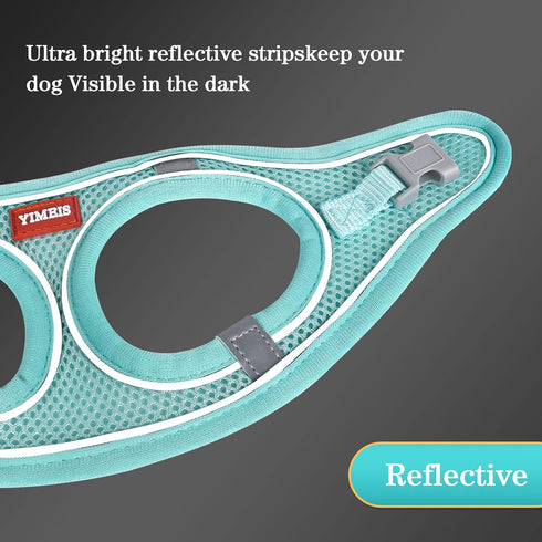 YIMEIS Dog Harness and Leash Set, No Pull Soft Mesh Pet Harness, Reflective Adjustable Puppy Vest for Small Medium Large Dogs, Cats (Tiffany Blue,...