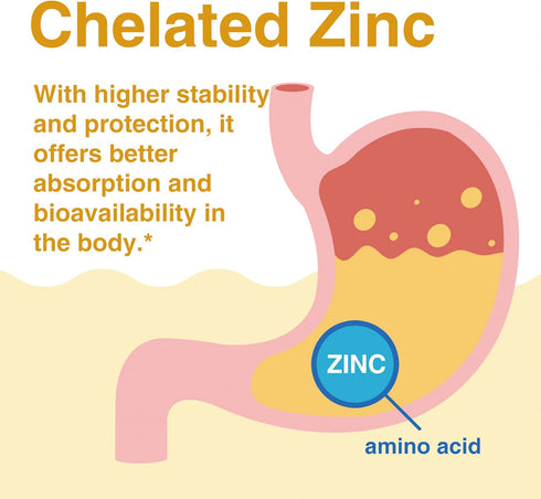 Zinc 50mg | Potent Highly-Absorbed Chelated Zinc Supplements, Picolinate & Bisglycinate | Vegan, Gluten Free, Non-GMO | for Immune, Antioxidant Su...