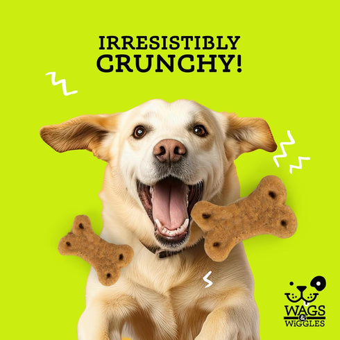 Wags & Wiggles Gentle Belly Functional Treats for Dogs, Chicken Flavor, 5.5 Resealable Bag| Digestive Support | Pumpkin Dog Treats for Dogs with S...