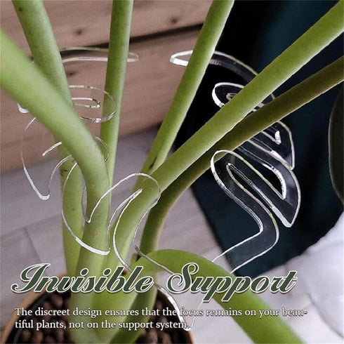 Turtle Shell Bamboo Clamp Set, Reusable Clear Plastic Plant Stem Support Holder, Plant Retaining Support for Outdoor and Indoor Plants, Including ...