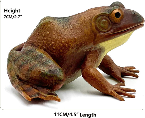 Gemini&Genius Tree Frog Realistic Hand Painted Toy for Backyear Decor, Carnival Game. Bullfrog Figurine Plastic Frogs Rubber Animal Toys for Educa...