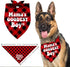 Mama’s Boy Dog Bandana, Dog Mom's Boy Gift Dog Bandana, Pet Scarf Accessories, Printed Dog Bandanas Gift for Dog Lover Birthday or Christmas, for ...