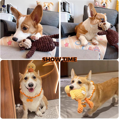 5 Pack Tough Dog Toys Stuffed Squeaky Dog Toys Assortment Value Bundle Dog Squeaky Toys Assortment Puppy Pet Mutt Dog Toy Dog Squeak Toy for Mediu...