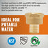 3/4 inch Pex Fittings, SUNGATOR 3/4" Pex x 3/4" Female NPT Threaded Adapter, 3/4" Pex to 3/4" Female NPT, 3/4 inch Pex Fittings, No Lead Brass 3/4...
