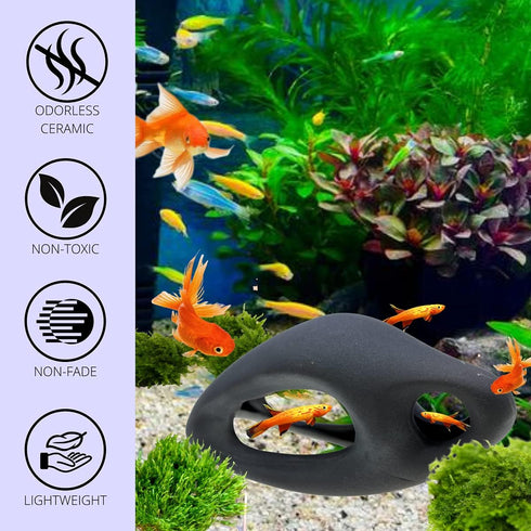 Corisrx Fish Tank...