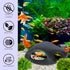 Corisrx Fish Tank...