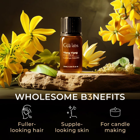 Gya Labs Ylang-Ylang Essential Oil for Diffuser - 0.34 Fl Oz - 100% Pure Natural Ylang Ylang Essential Oil for Skin, Hair Health, Face, Aromathera...