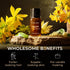 Gya Labs Ylang-Ylang Essential Oil for Diffuser - 0.34 Fl Oz - 100% Pure Natural Ylang Ylang Essential Oil for Skin, Hair Health, Face, Aromathera...
