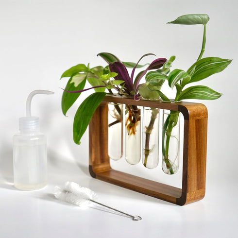 Source & Plot - Plant Propagation Station - Acacia Wood Stand 4 Glass Test Tube Hydroponic Tabletop Rooting Terrarium Planter Rack Home and Office...