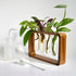 Source & Plot - Plant Propagation Station - Acacia Wood Stand 4 Glass Test Tube Hydroponic Tabletop Rooting Terrarium Planter Rack Home and Office...