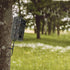 Game & Trail Camera Tree Mount Holder, Hunting Accessory Deer Camera Wall Stand and Tree Mount Holder...