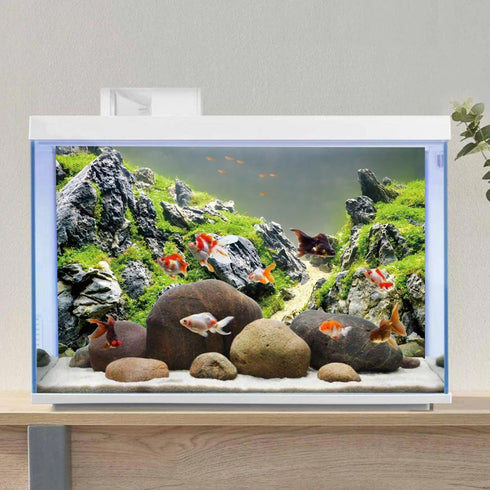 AWERT 36x24 inches Stone Fish Tank Background Aquatic Plant River Bed & Lake Aquarium Background Seaweed Aquarium Vinyl Background...