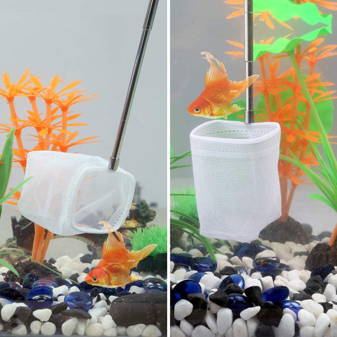 Carefree Fish Aquarium Stainless Steel Small Fishing Net, Extendable Handle Shrimp Net, Soft Light Tiny Net, Fish Tank Cleaner Long Handle(Please ...