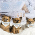Dog Bandana Collar, 4 PCS White Triangle Dog Bandana with Adjustable Buckle Sublimation Blank DIY Dog Bandanas for Dogs and Cats, S...