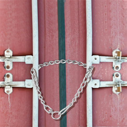 Metal Chain Dog Collar, Chew Proof Dog Necklace Leash Adjustable Slip Chain Necklace Stainless Steel Dog Leash Extension Chain Collars for Large S...