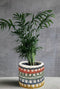Plant Pots, Planters Indoor Plant Pot for All Home Garden Flowers Succulents Modern Round Decorative Flower Pot Indoor (Style 1)...