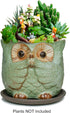 Dahlia 4" Speak No Evil Owl Handmade Ceramic Succulent Planter/Plant Pot/Flower Pot, Green...