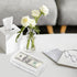 2 PCS Plastic Storage Case with 100 PCS Clear Paper Money Holder, Thicken Paper Money Currency Collection Sleeves Protector Bag with Money Storage...