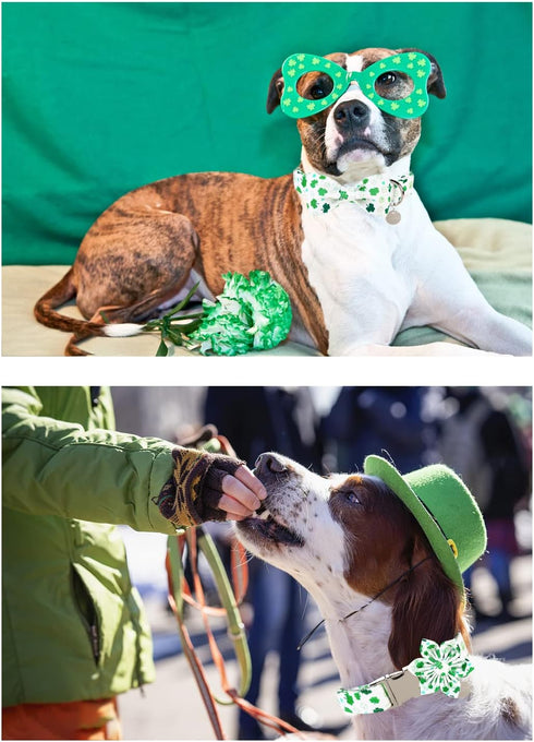 St. Patrick's Day Dog Collar with Flower, Cotton Flower Collar for Extra Large Girl Boy Dog, Durable Metal Buckle Pet Collar with Lucky Shamrock, ...