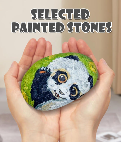 River Rocks for Painting Rock Painting Supplies Rocks to Paint River Rock Paint Flat Stones for Crafts River Stones for Painting Smooth Flat Rocks...