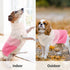 ASENKU Warm Dog Sweater for Small Medium Dogs,Pet Sweaters for Fall Winter Dog Clothing,Thicked Pullover Puppy Cat Turtleneck Sweater for Doggie C...