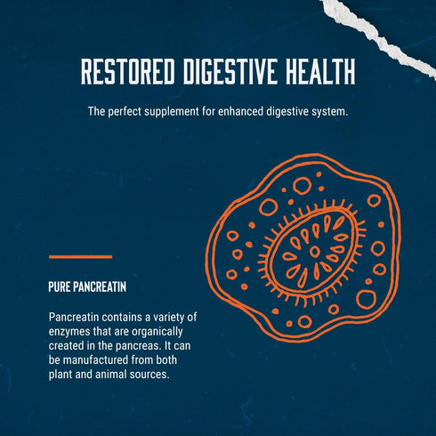 Gut Health Digestive Enzyme Supplements - Pure Digestive Enzymes for Digestion Constipation Relief - Pancreatin Digestive Enzymes for Digestive He...