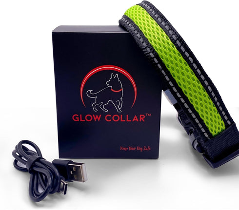 LED Dog Collar - Rechargeable USB Light Up Dog Collar - Waterproof, Multi-Mode Flashing Dog Collar (Large, Green)...