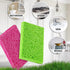 bioGo 10 Pack Compostable Pop-Up Sponges - Expanding, Non-Scratch, Plant-Based Dish Sponges...