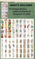 453 Pcs Vintage Stickers for Journaling Scrapbooking Supplies,Ephemera Pack with Scrapbook Papers Retro People Scrap booking Supplies Kit for Aest...
