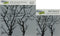 The Crafter's Workshop Set of 2 Stencils - Branches Reversed 12" x 12" Large and 6" x 6" Mini - Includes 1 Each TCW251 and TCW251s - Bundle 2 Item...