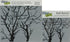 The Crafter's Workshop Set of 2 Stencils - Branches Reversed 12" x 12" Large and 6" x 6" Mini - Includes 1 Each TCW251 and TCW251s - Bundle 2 Item...