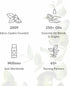 Edens Garden Tobacco Patchouli Essential Oil Blend- 100% Pure Premium Grade, Undiluted, Natural, Therapeutic, Aromatherapy, The Best for Diffusing...