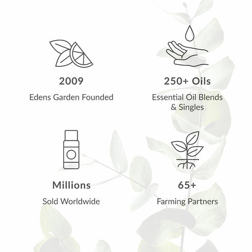Edens Garden Fatigue Fix Aromatherapy Room Spray, All Natural & Made with Essential Oils (Great Home Air Freshener - Try Using On Pillows & Linens...