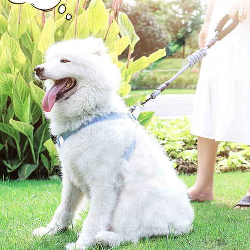 Dog Harness and Leash Set Adjustable Heavy Duty No Pull Puppy Pet Back Clip Halter Harnesses Anti-Twist Walking Rope Nylon Leashes for Large Mediu...