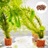 20 Pcs Aquatic Water Plant Fixed Rings, Aquarium Landscape Ceramic Pottery Plant Pot Gravity Ring for Fish Tank Accessories...
