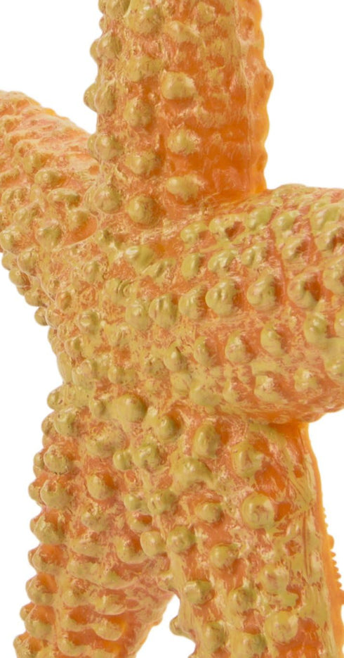 Safari Ltd. Starfish Figurine - Vibrant 4.5" Sea Star Figure - Educational Toy for Boys, Girls, and Kids Ages 3+...