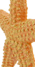 Safari Ltd. Starfish Figurine - Vibrant 4.5" Sea Star Figure - Educational Toy for Boys, Girls, and Kids Ages 3+...
