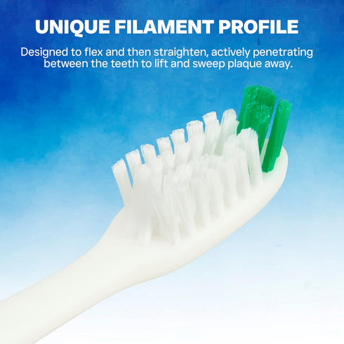 Falcon Toothbrush with Curved Filaments, Deep Reach (Family Care - Soft Bristles), 4 Colors - 12 Count (Pack of 1)...