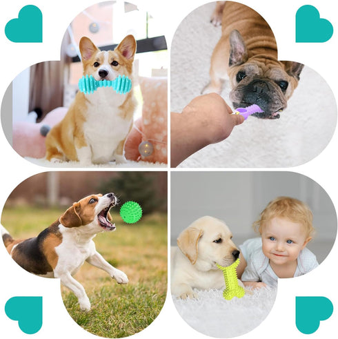 Puppy Chew Toys for Teething, Puppy Toys 6 Pack, Dog Toys for Small Dogs, Squeaky Dog Toy, Puppy Teething Toys for Teeth Cleaning & Gum Massage, A...