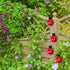 Metal Garden Decor for Outside Cute Ladybugs Yard Art Lawn Ornaments Wall Sculptures & Statues Outdoor Fence Decorations for Patio - Set of 4...