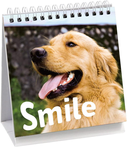 Fancy Land Funny Desk Signs for Dog Lovers 30 Different Fun and Flip-Over Messages for Office Desk Accessories...