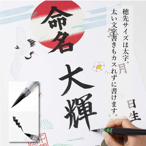 Pentel Fude Brush Pen, Bold (XFL2B)...