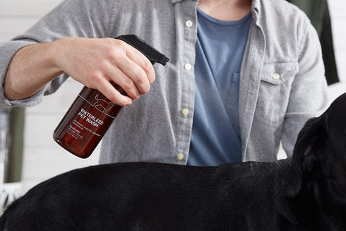 The Spruce Waterless Pet Wash, No Rinse Moisturizing Shampoo for Pets - Daily Pet Care - Cleaning, Cleansing, and Conditioning for Dogs, Puppies, ...