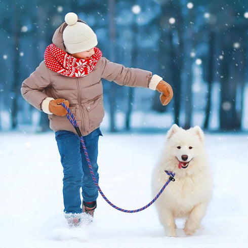 6 FT Durable Slip Lead Dog Leash coolrunner Dog Training Leashes, Strong Rope Slip Leash, Dog Leash for Training, Standard Adjustable Pet Slipknot...