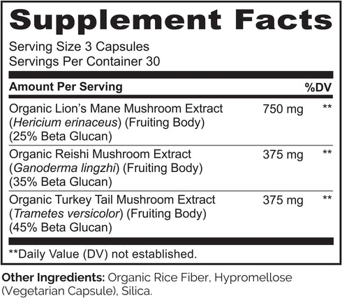 NATURELO Mushroom Supplement – Brain & Immune Health Blend with Lion’s Mane, Reishi, Turkey Tail – 90 Vegan Friendly Capsules...